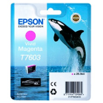 EPSON T7603 ink cartridge vivid magenta high capacity 25,9ml 1356 pages 1-pack - SC-C13T76034010